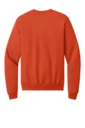 Back product photo