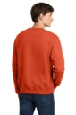 Back model photo
