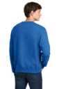 Back model photo