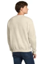 Back model photo