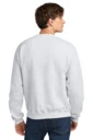 Back model photo