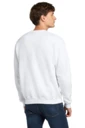 Back model photo