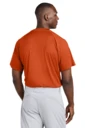 Back model photo