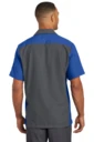 Back model photo