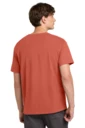 Back model photo