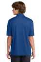 Back model photo
