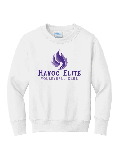 Port & Co Youth Core Fleece Crewneck Sweatshirt preview, front