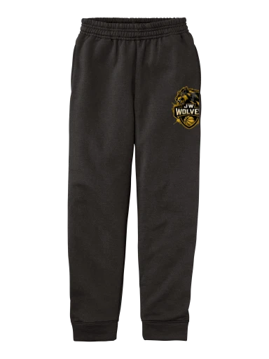 Youth Core Fleece Jogger preview, front