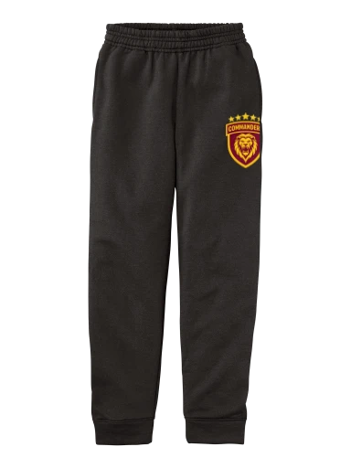 GVYF Commanders Youth Core Fleece Jogger preview, front