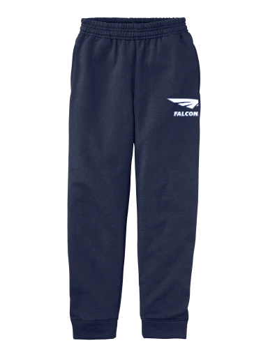 Youth Core Fleece Jogger preview, front