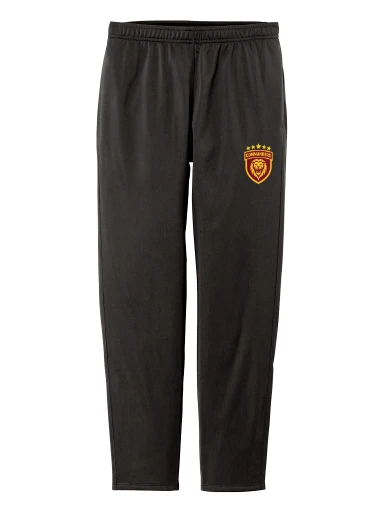 GVYF Commanders Women's Tricot Track Jogger preview, front