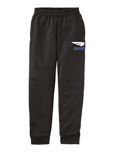 GVYF Falcons Youth Core Fleece Jogger preview, front