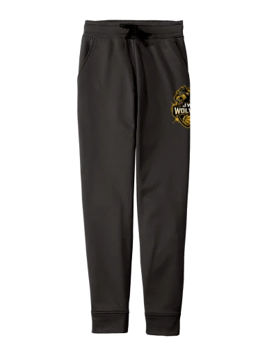 Sport-Wick Fleece Jogger preview, front