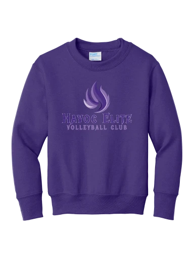 Port & Co Youth Core Fleece Crewneck Sweatshirt preview, front