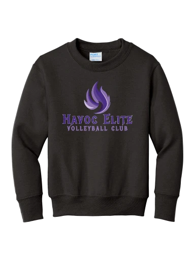 Port & Co Youth Core Fleece Crewneck Sweatshirt preview, front