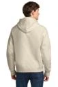 Back model photo