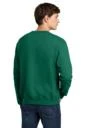 Back model photo