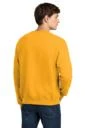 Back model photo