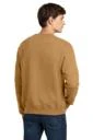 Back model photo