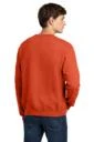 Back model photo