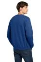 Back model photo