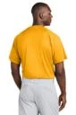 Back model photo